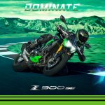 z900 insta