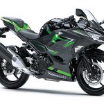 Ebony/Metallic Magnetic Dark Gray